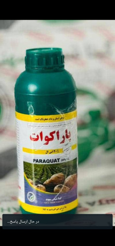 پاراکوات گیتا و شیماگرو موجود است فروش همان روز