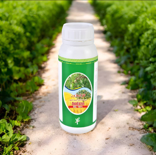 تولید سال 1403/11