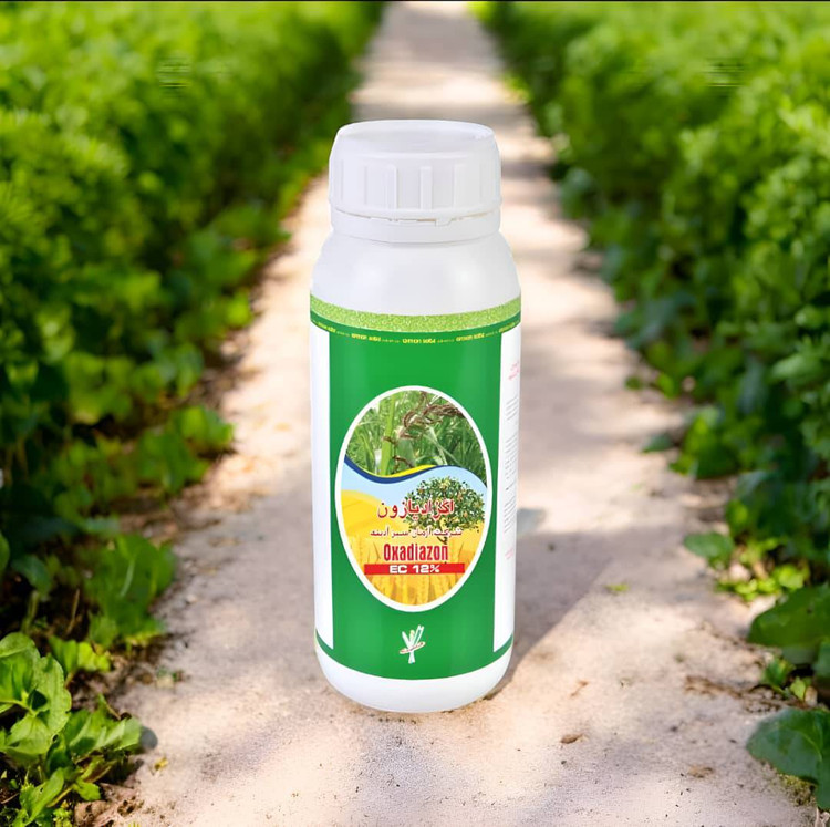 تولید سال 1403/11